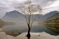 Michael Hope, Buttermere